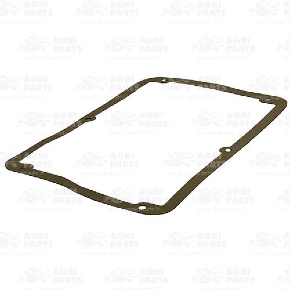 300015969 - DICHTUNG - 300015969AG