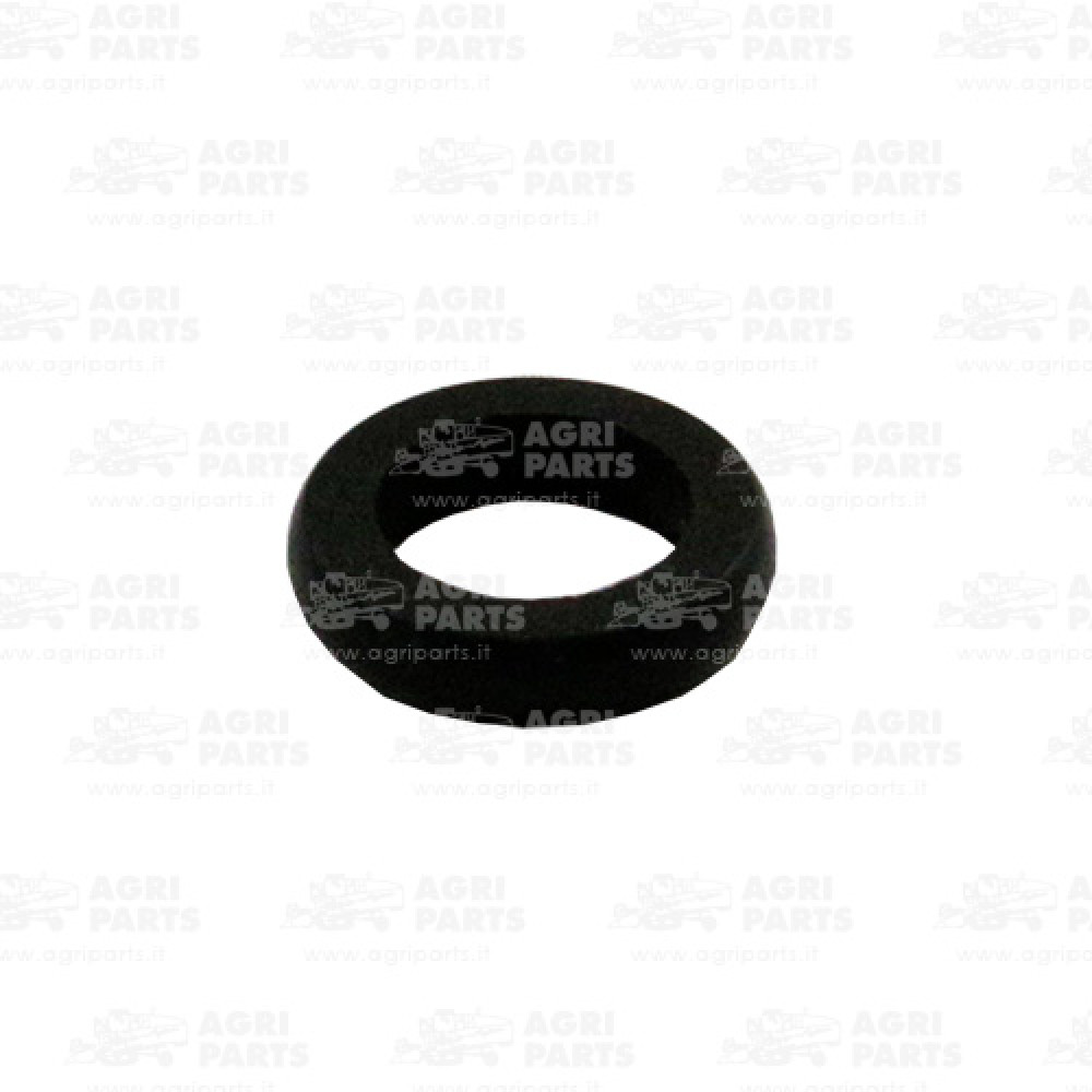 300113802 - GUARNIZIONE - 300113802AG