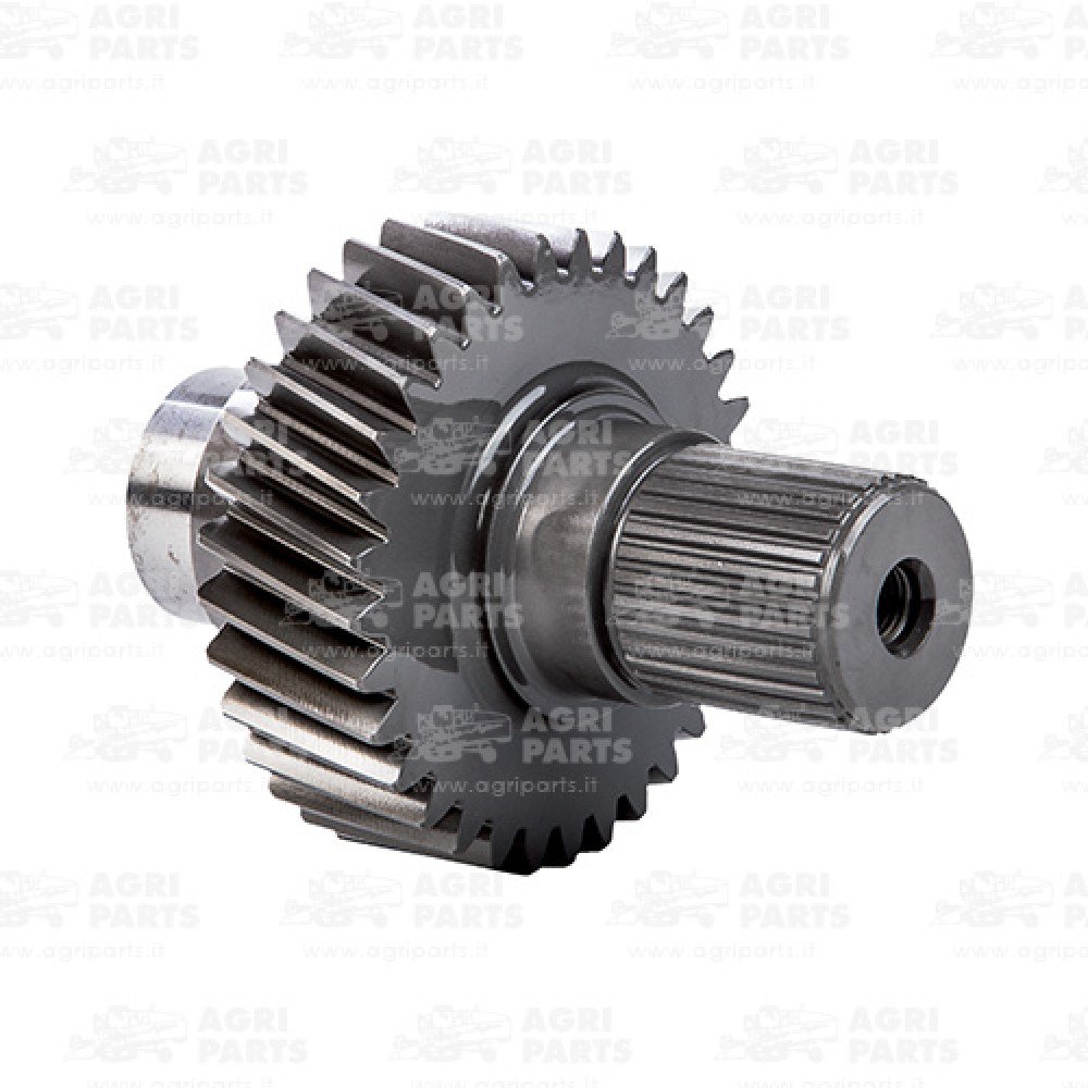 302553A1 - GEAR SPROCKET - 302553A1CNH