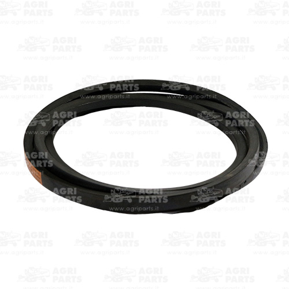 317904A1 - BELT - 317904A1CNH