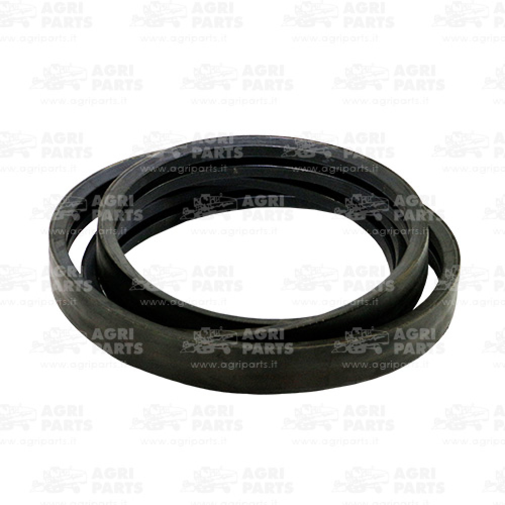 124573A1 - CINGHIA - 124573A1CNH