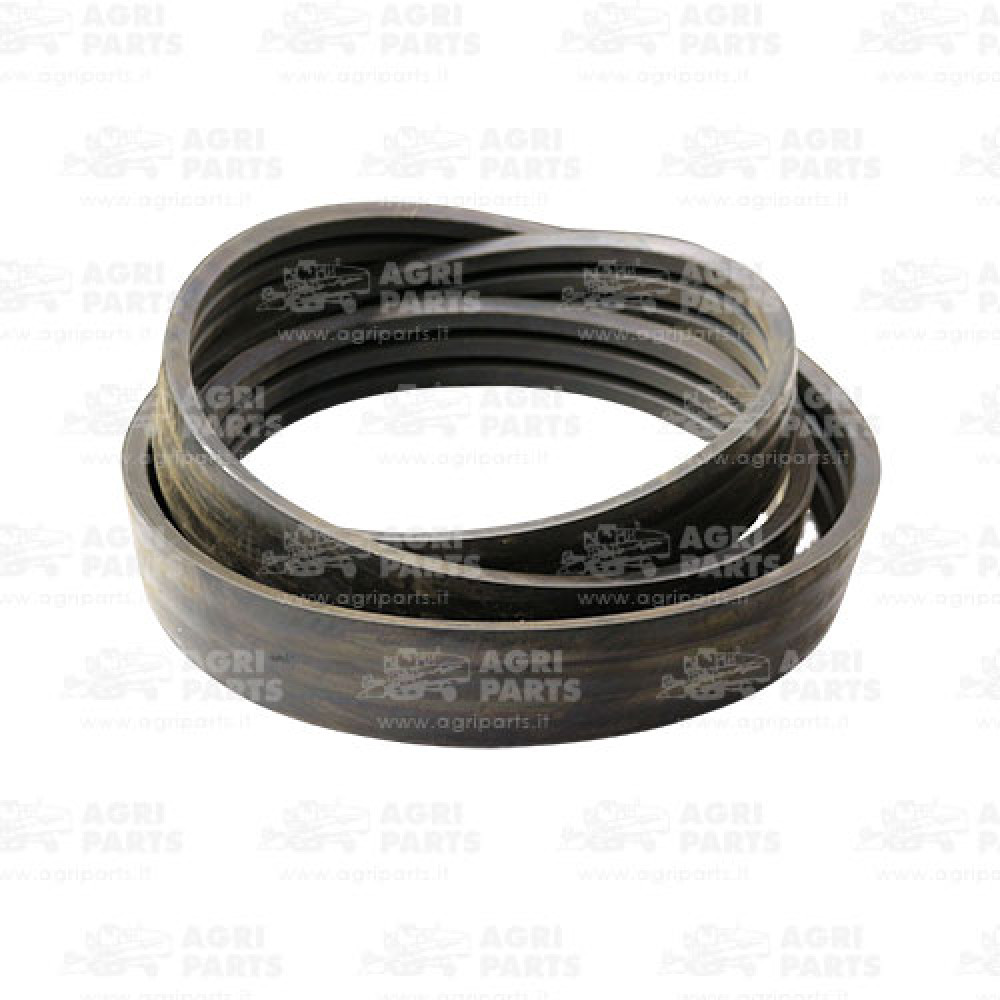 1315074C2 - RIEMEN - 1315074C2CNH