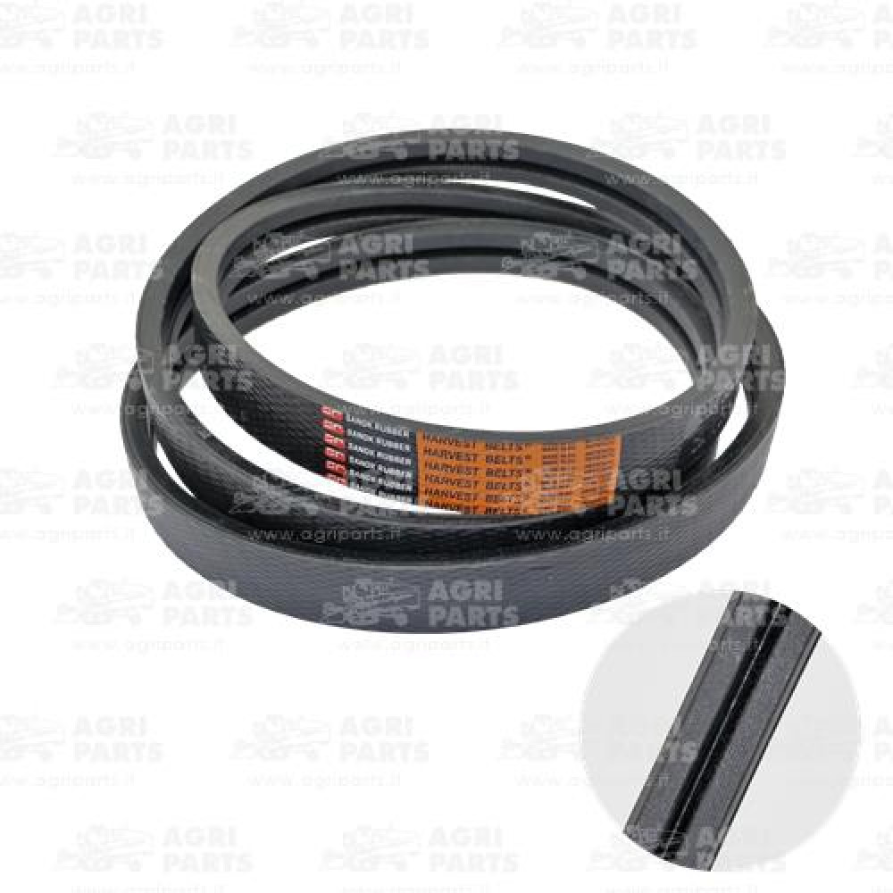 1347160C1 - CINGHIA - 1347160C1CNH