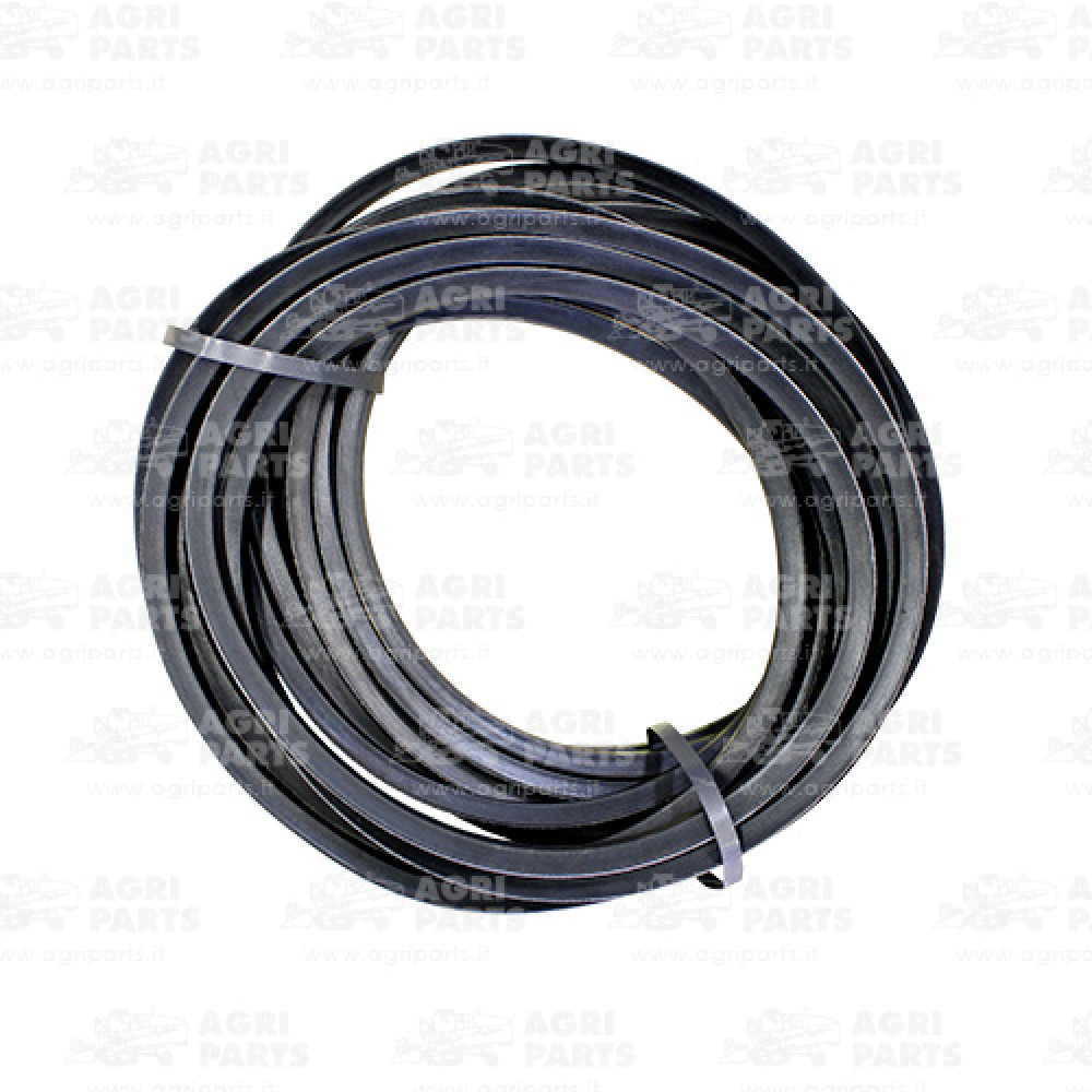 1989217C1 - RIEMEN - 1989217C1CNH