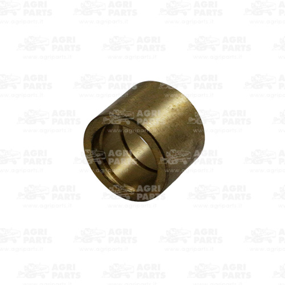 300119601 - BEARING BUSH - 300119601LV
