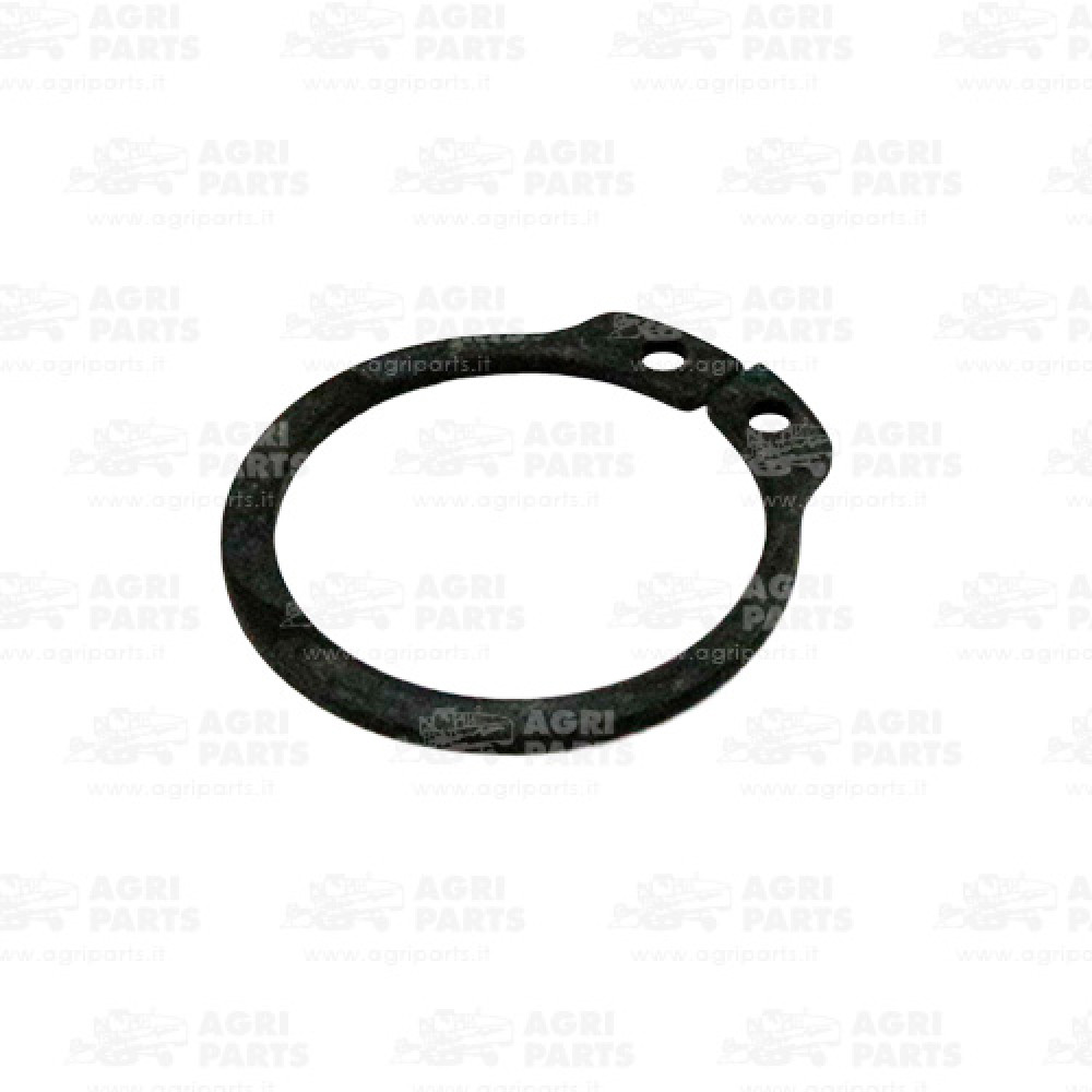 11067476 - ANELLO - LA11067476AG