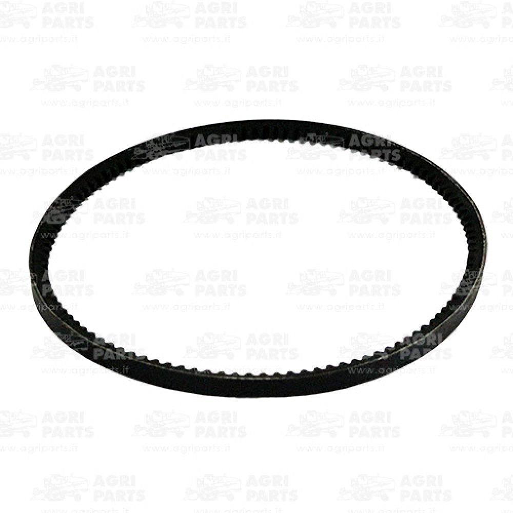 21486 - CINGHIA - 21486CNH