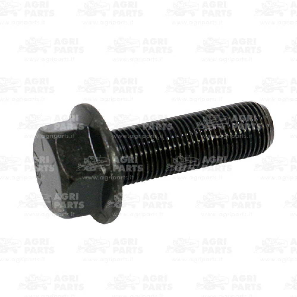 19H3343 - BULLONE - 19H3343JD