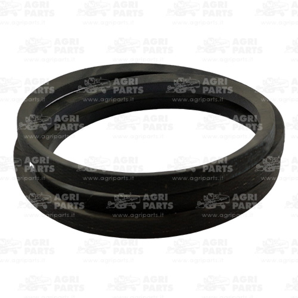 247426A1 - RIEMEN - 247426A1CNH