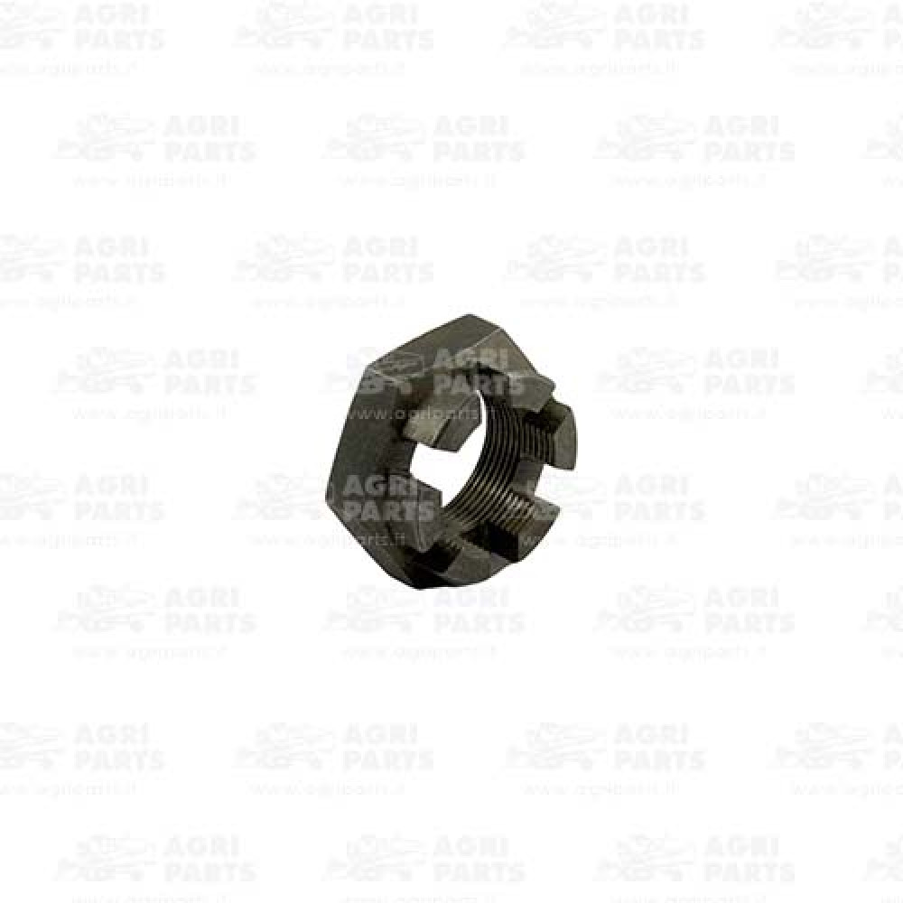 300015709 - CASTELLATED NUT - 300015709AG