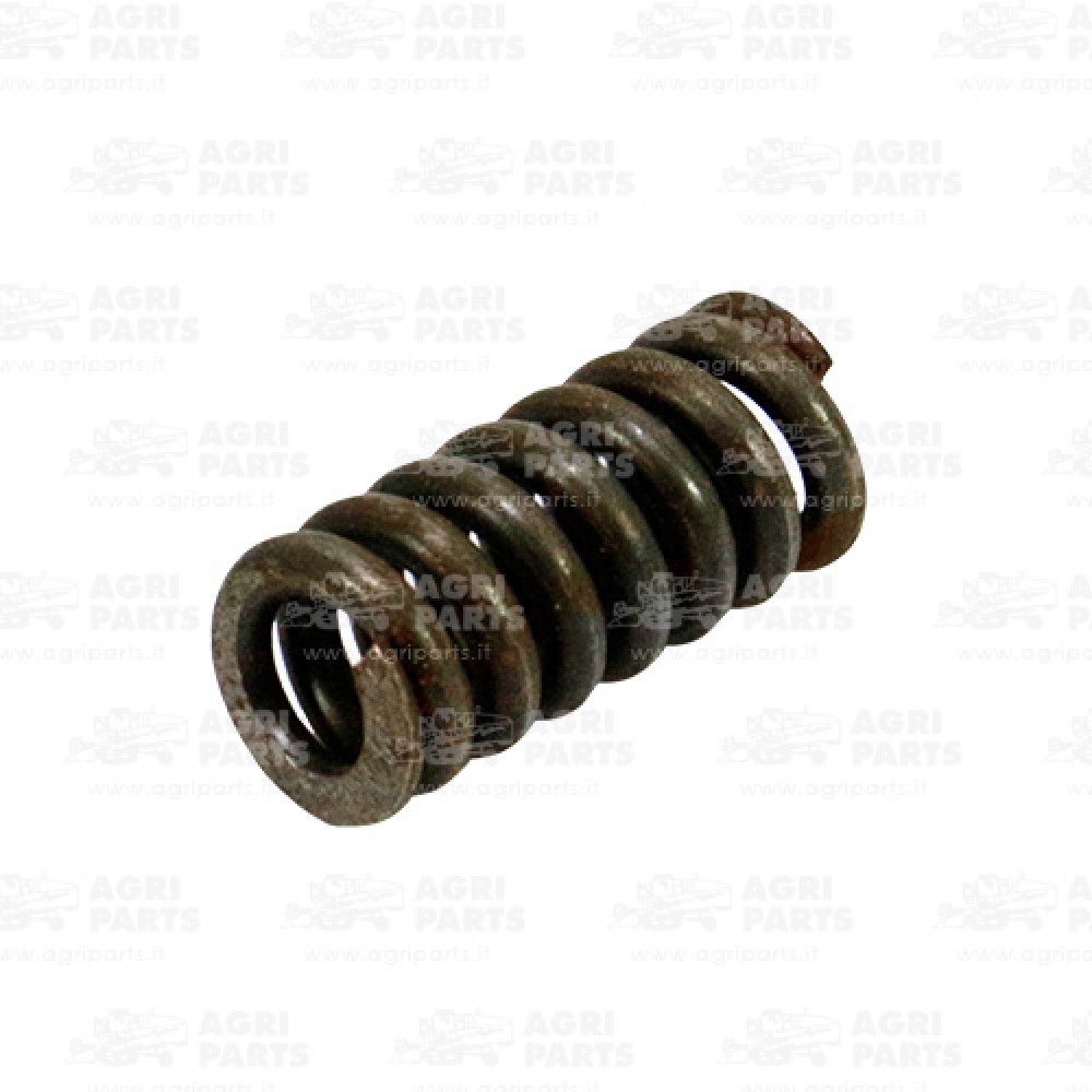 300113805 - SPRING - 300113805AG