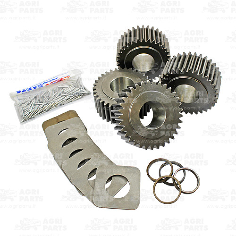 316328A1 - ÜBERHOLUNGSKIT - 316328A1CNH