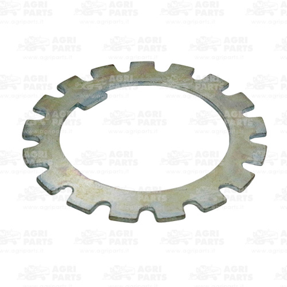 321008750 - RONDELLA - LA321008750AG