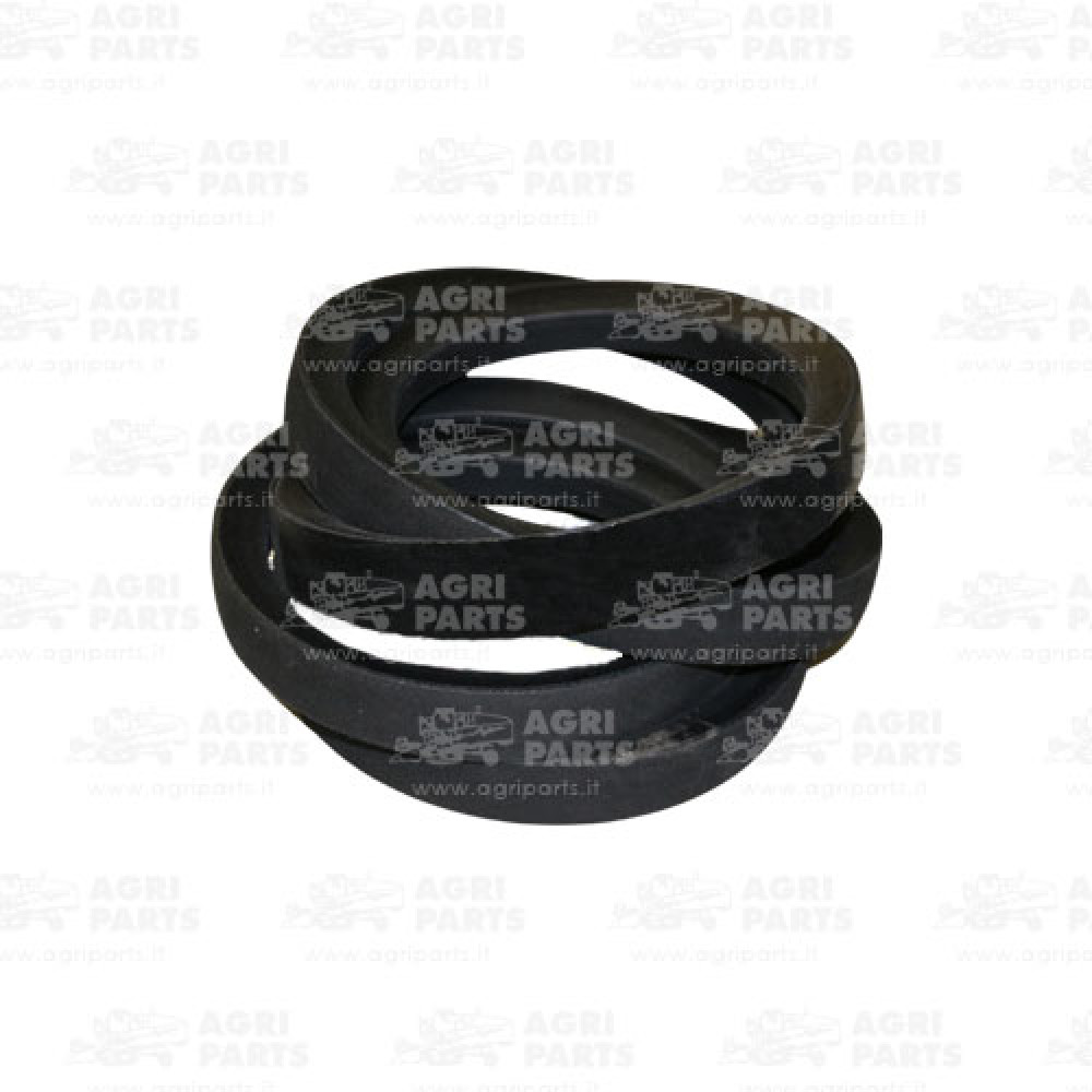 340433531 - CINGHIA - LA340433531AG