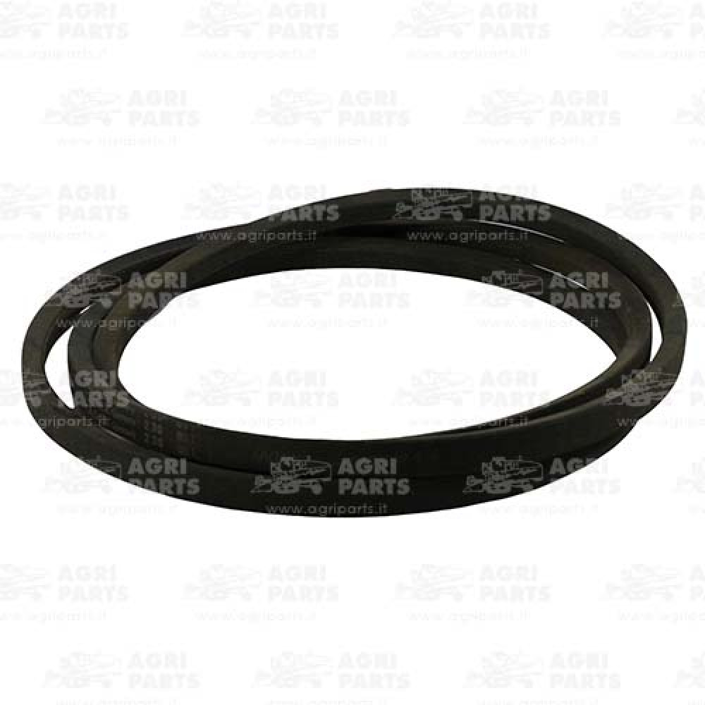 340432438 - CINGHIA - LA340432438AG