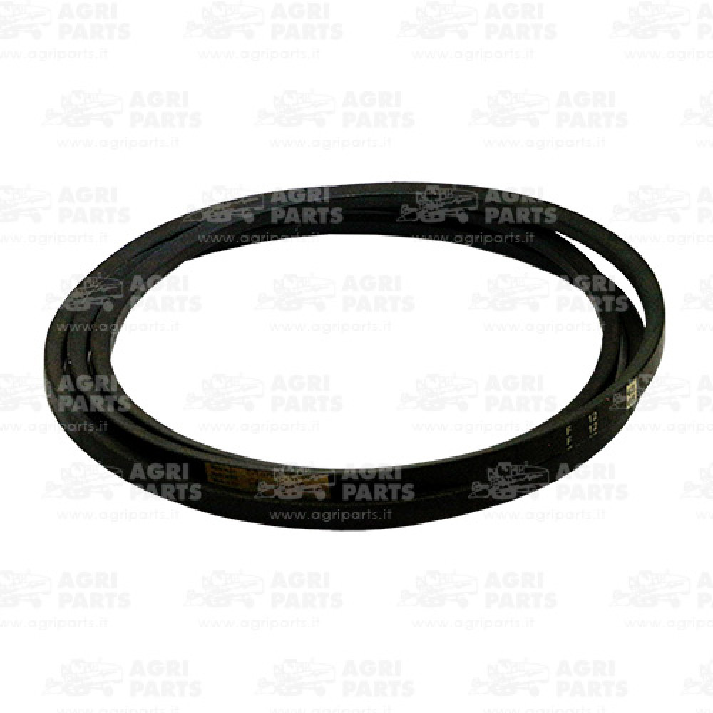 340433179 - CINGHIA - LA340433179AG