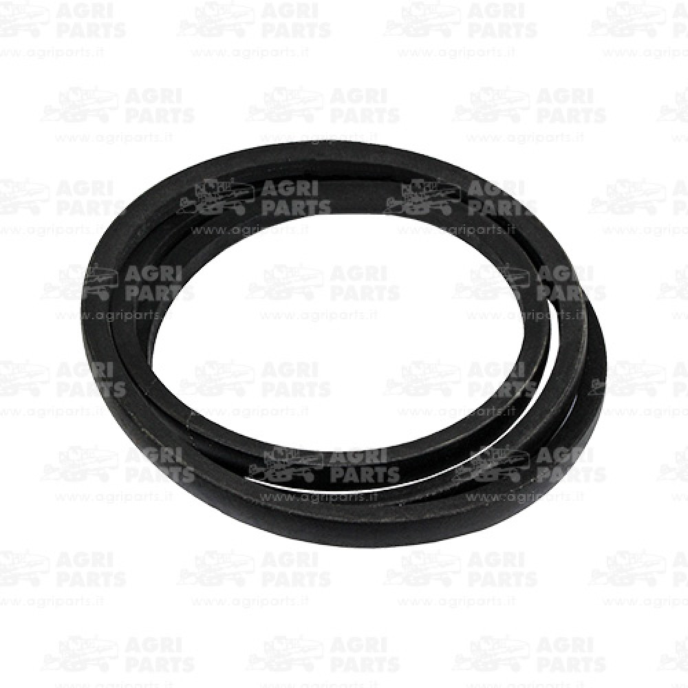 340433469 - CINGHIA - LA340433469AG