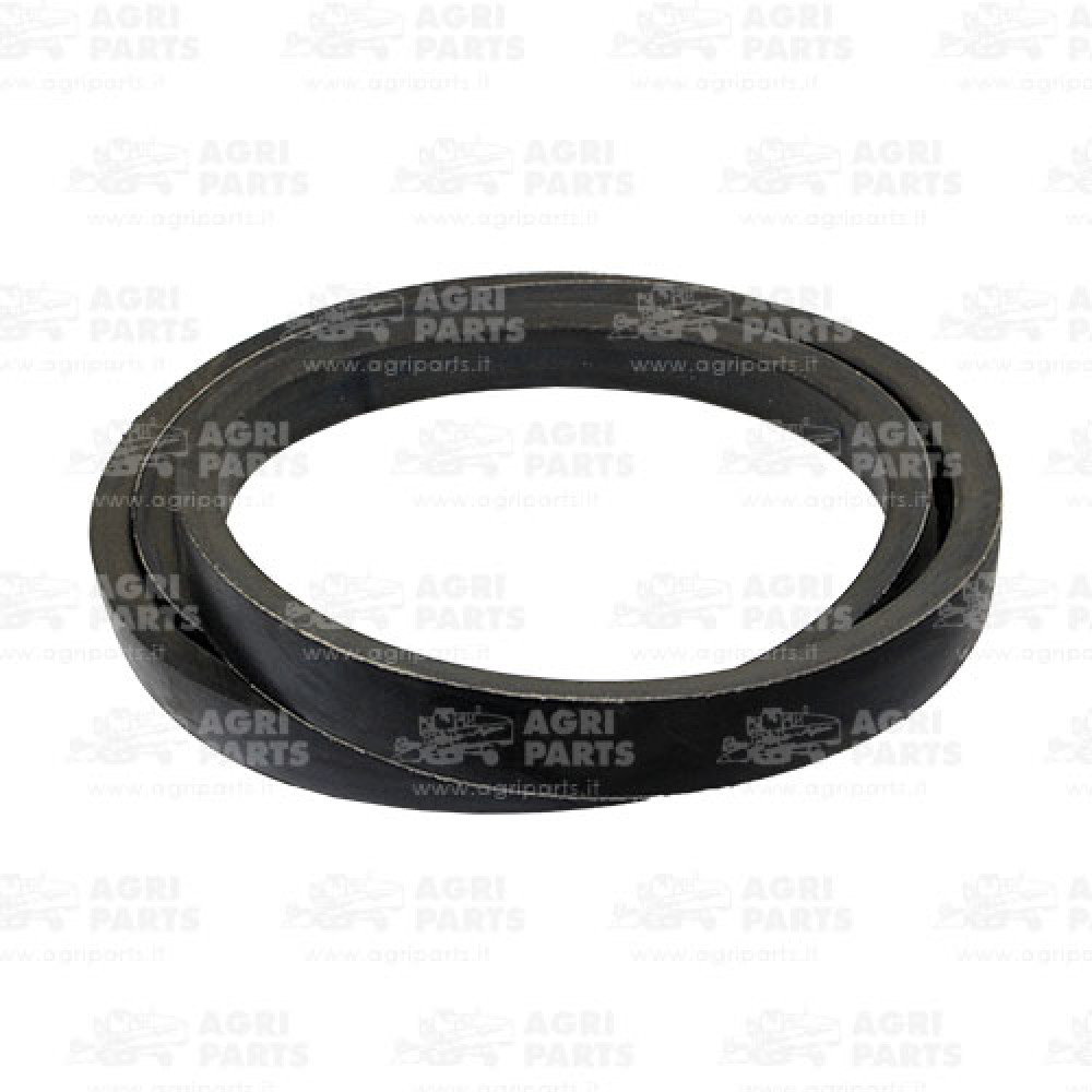 340435130 - CINGHIA - 340435130AG