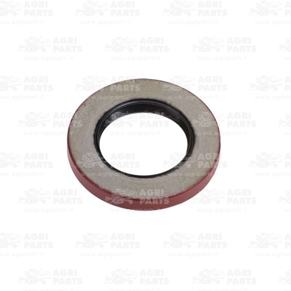 302957A1 - PARAOLIO - 302957A1CNH