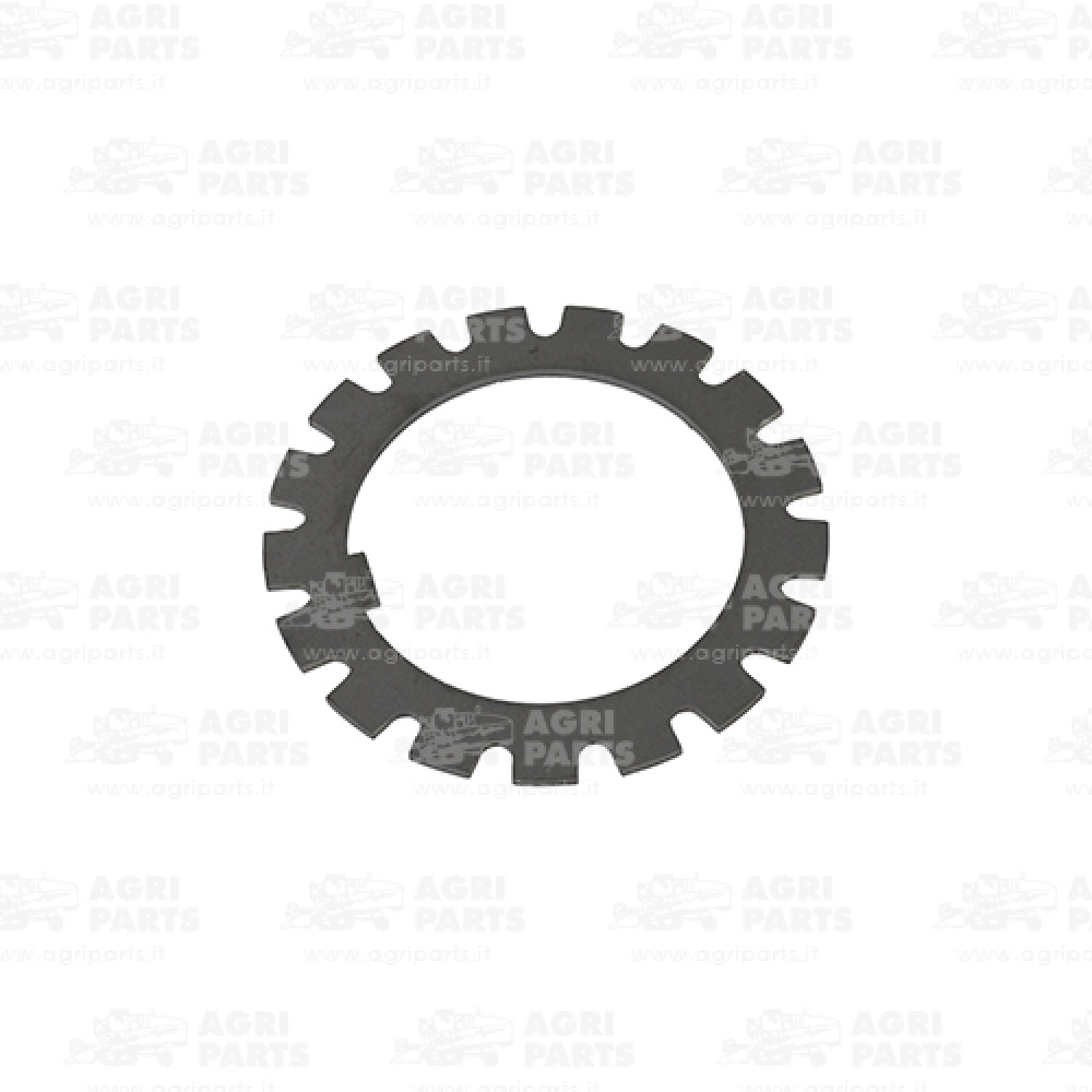 320444650 - RONDELLA - LA320444650AG