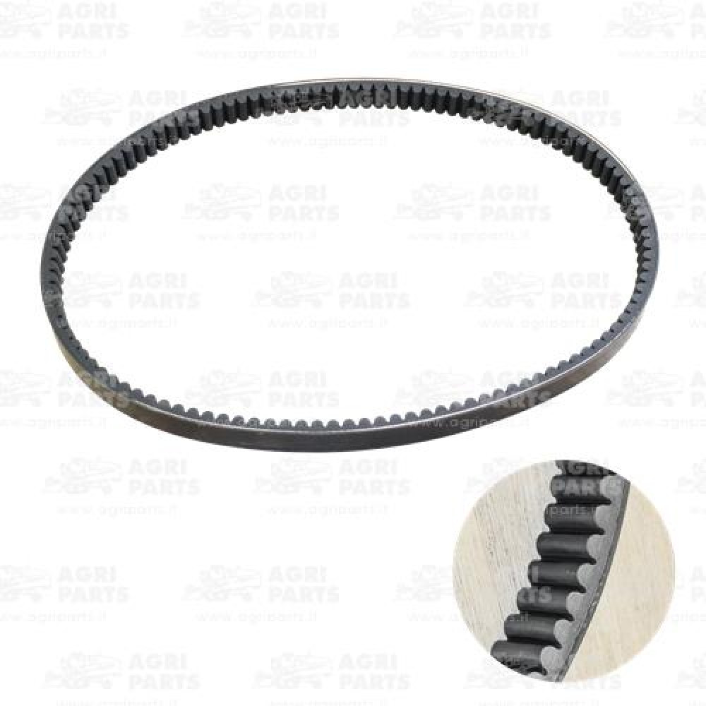 3226971M2 - CINGHIA - 3226971M2MF