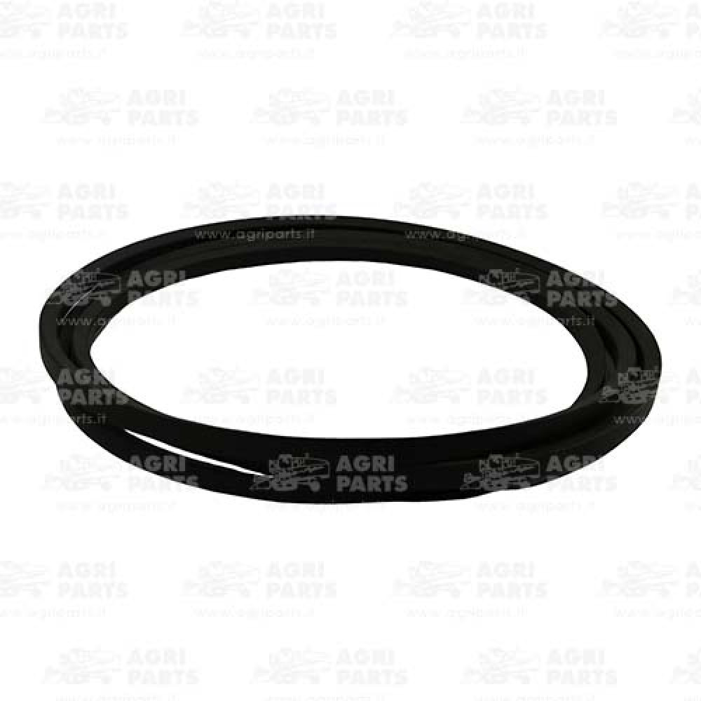 340433192 - RIEMEN - LA340433192AG