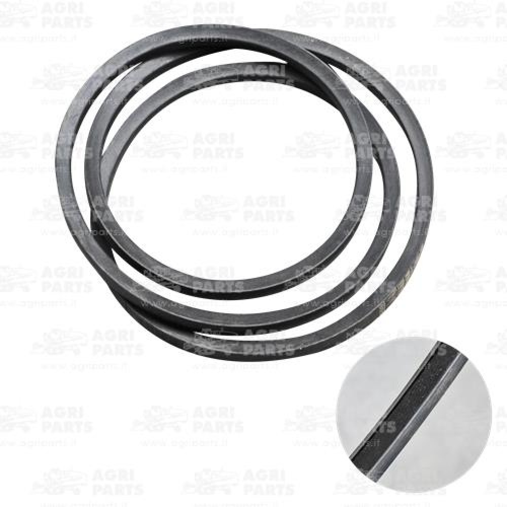 340433276 - CINGHIA - LA340433276AG