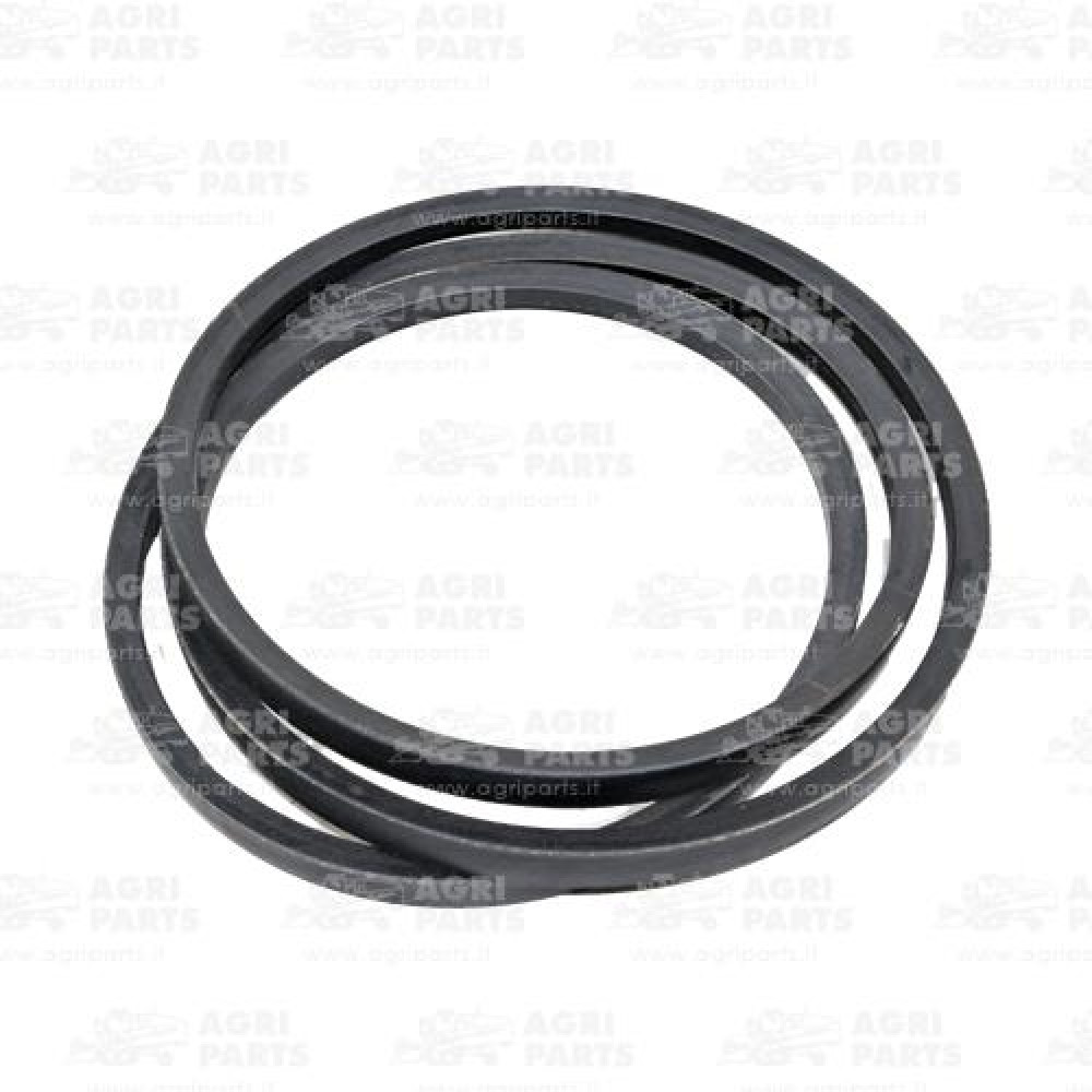 340433289 - CINGHIA - LA340433289AG