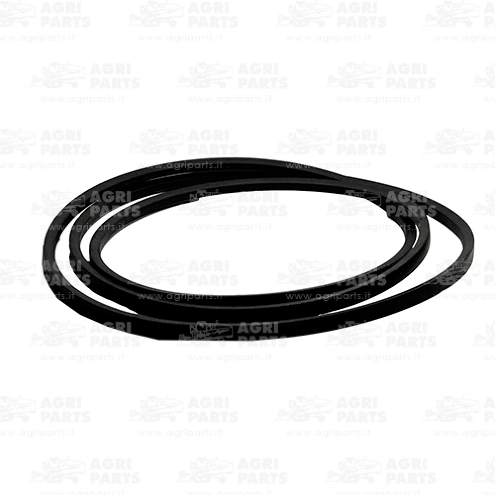 340433316 - CINGHIA - LA340433316AG