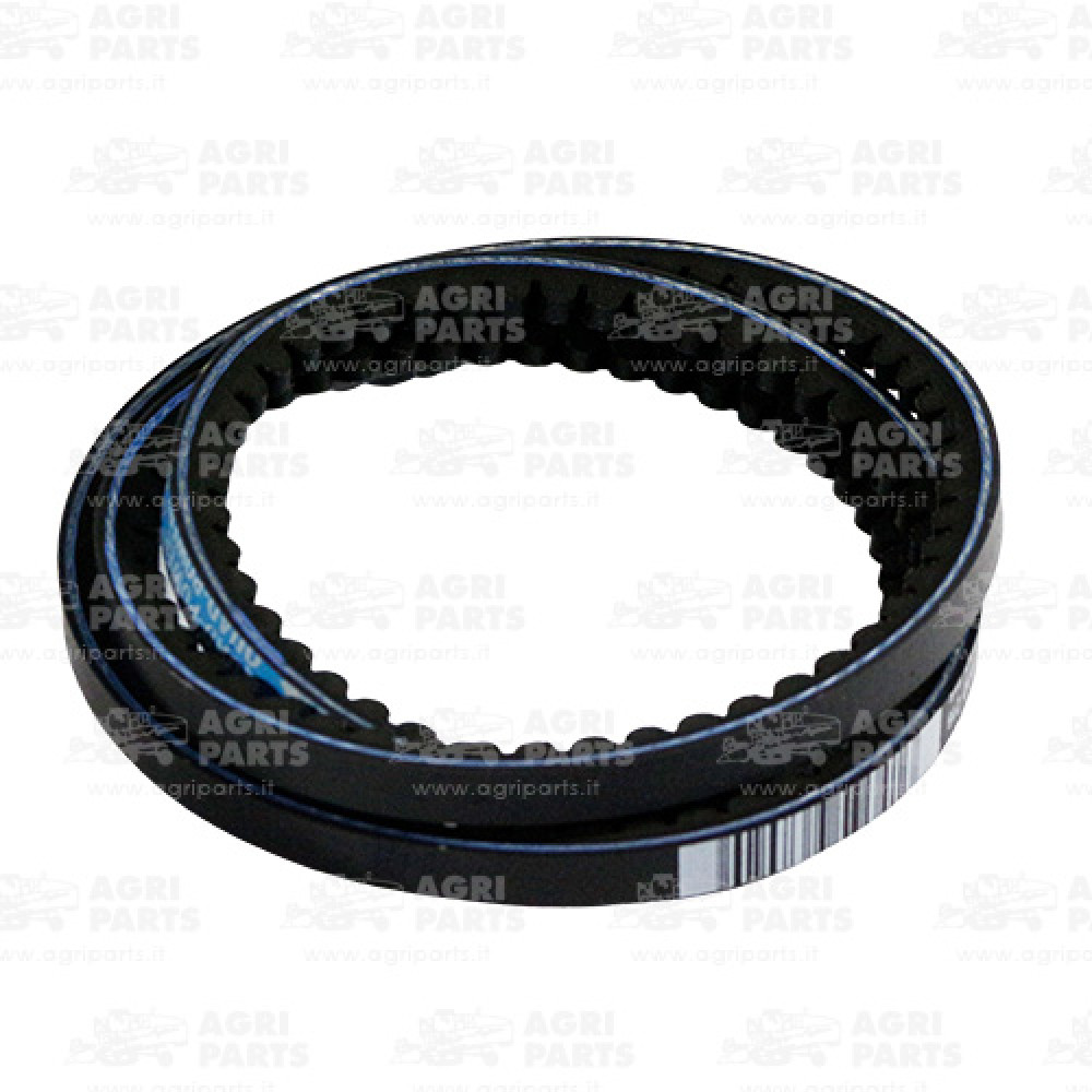 3290 - CINGHIA - 3290CNH