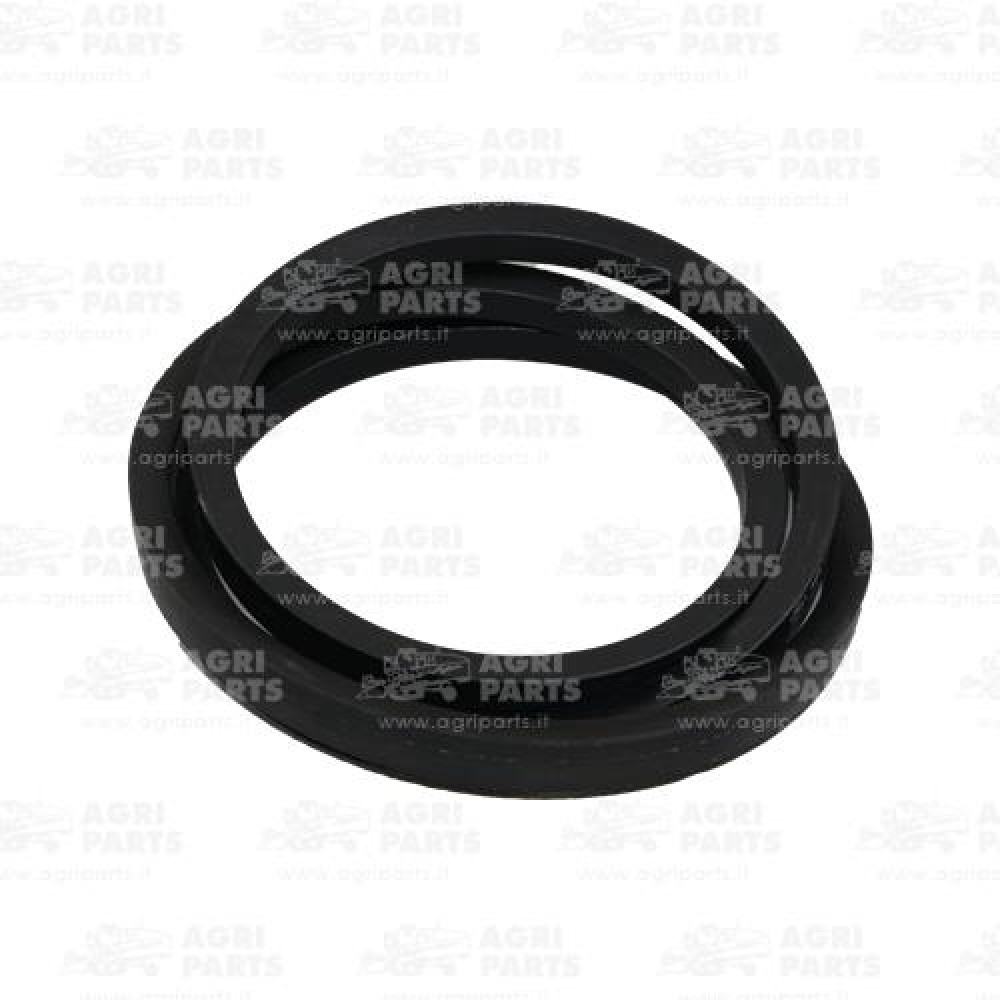 340433416 - CINGHIA - 340433416AG