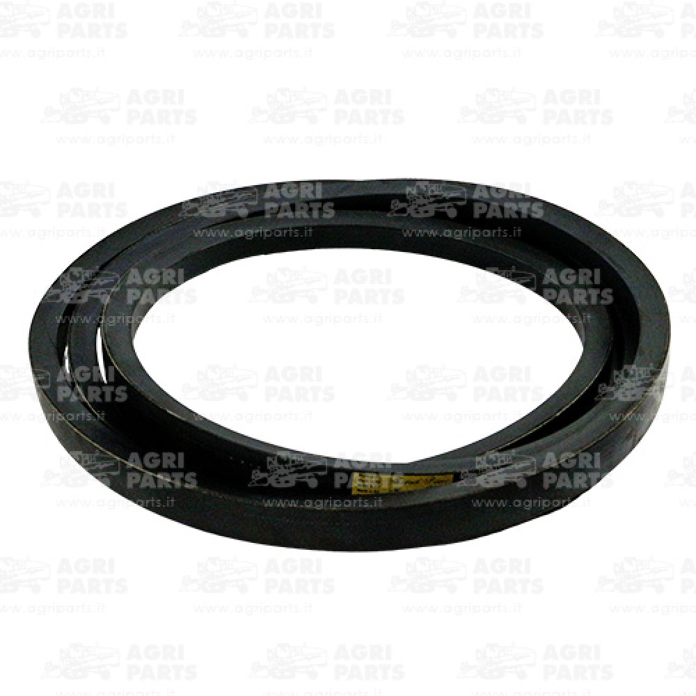 340433537 - RIEMEN - LA340433537AG