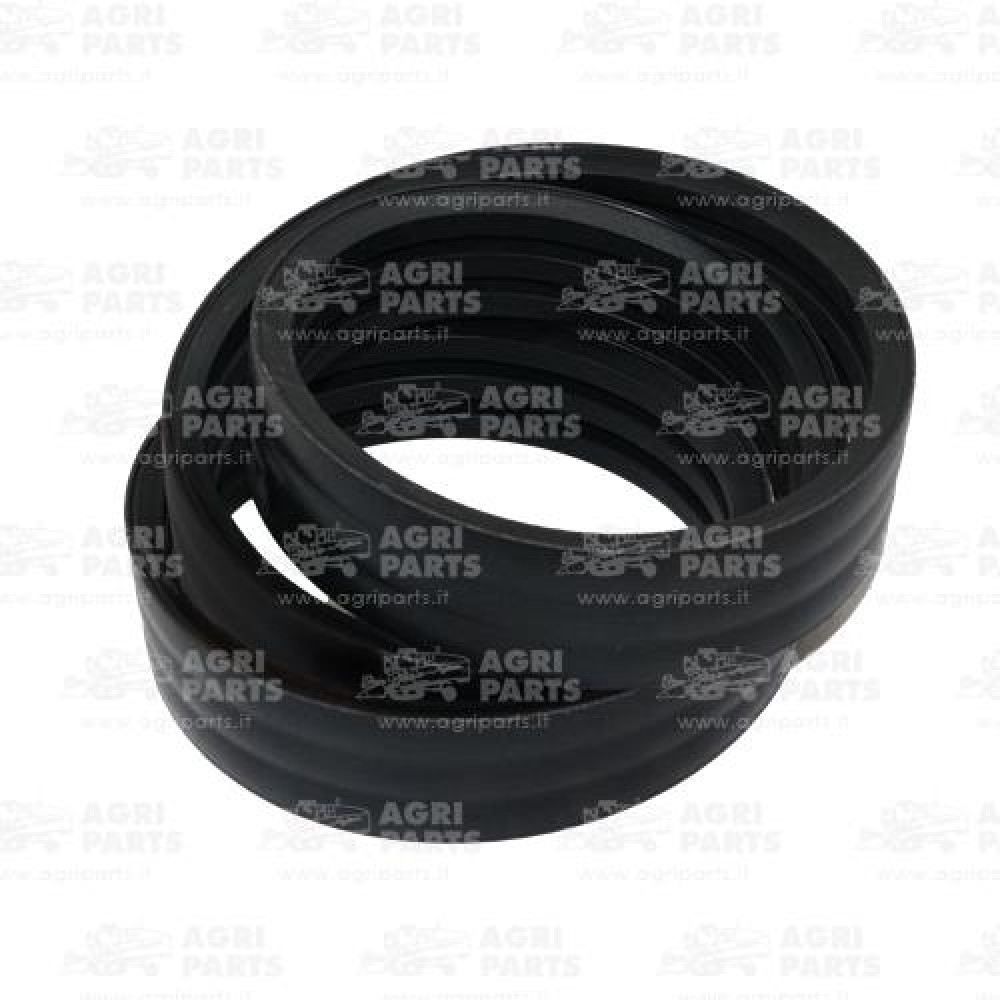 344311212 - CINGHIA - LA344311212AG