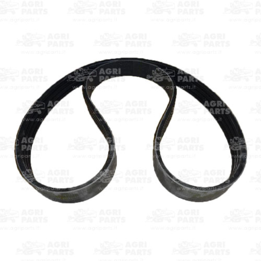 344311316 - RIEMEN - LA344311316AG