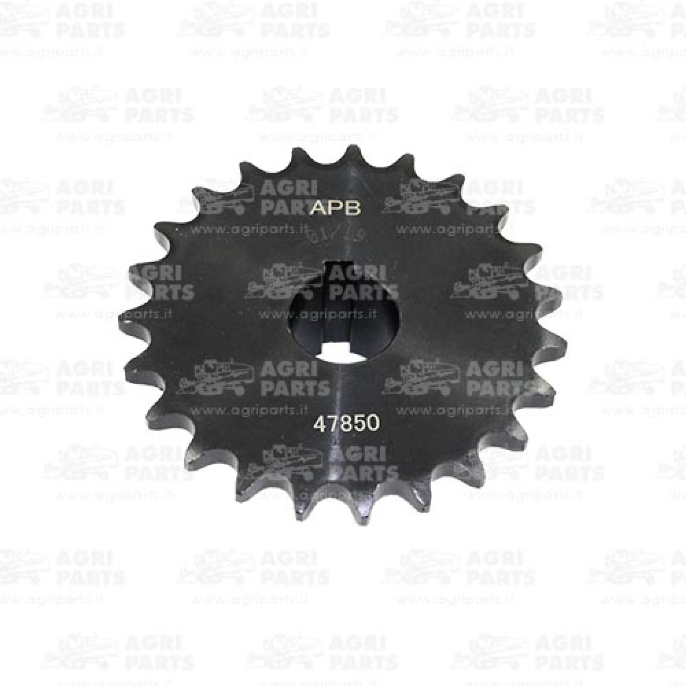 320947850 - PIGNONE - LA320947850AG