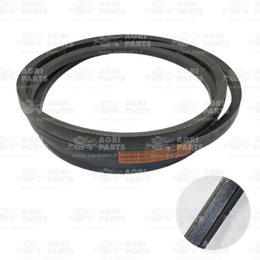 340433440 - CINGHIA - LA340433440AG