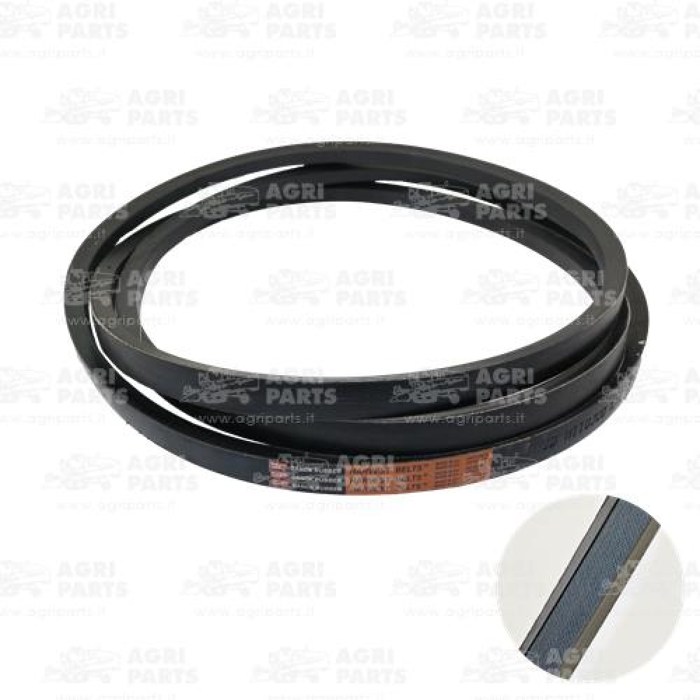 H110300 - CINGHIA - H110300JD