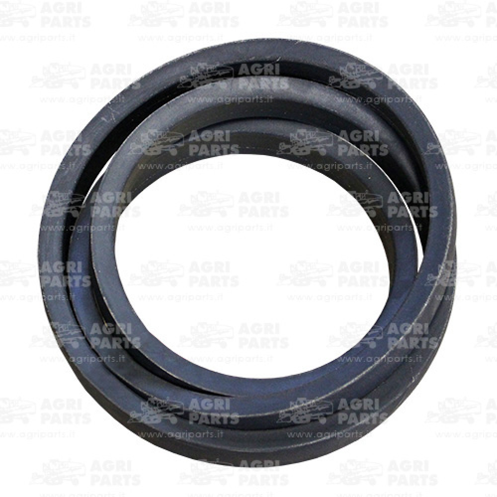 340435127 - CINGHIA - LA340435127AG