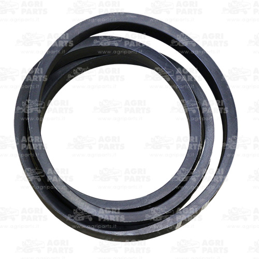 340435131 - RIEMEN - LA340435131AG