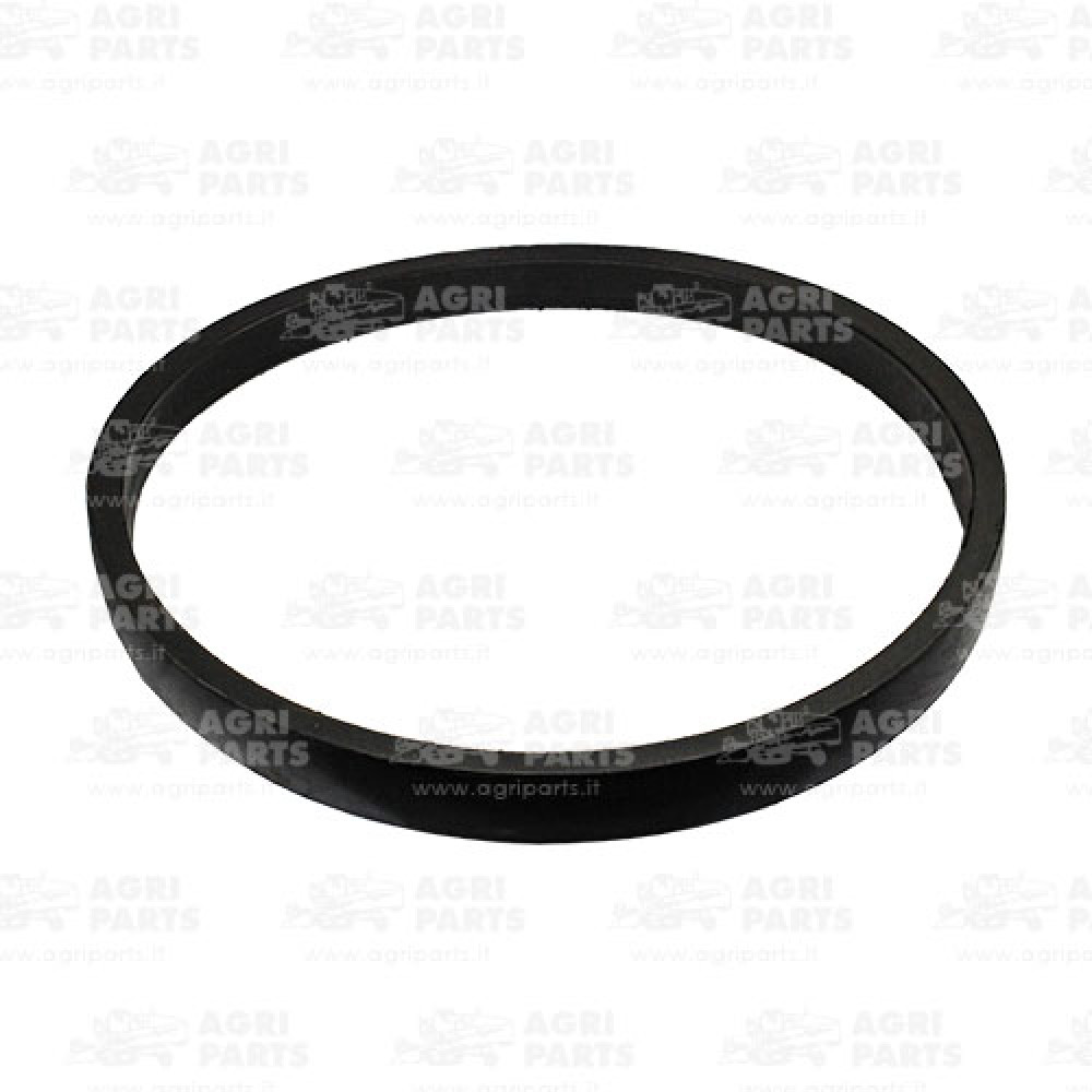 340435138 - CINGHIA - LA340435138AG