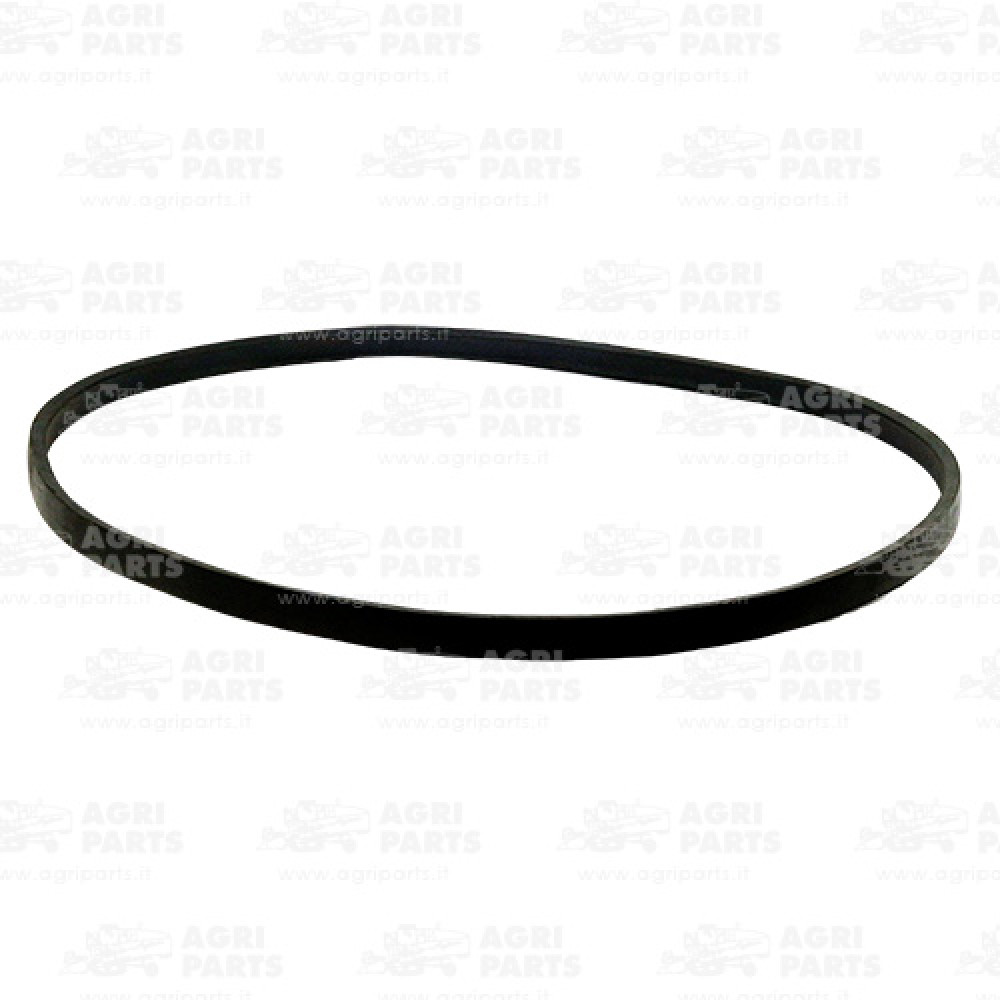 D41981200 - BELT - D41981200AG