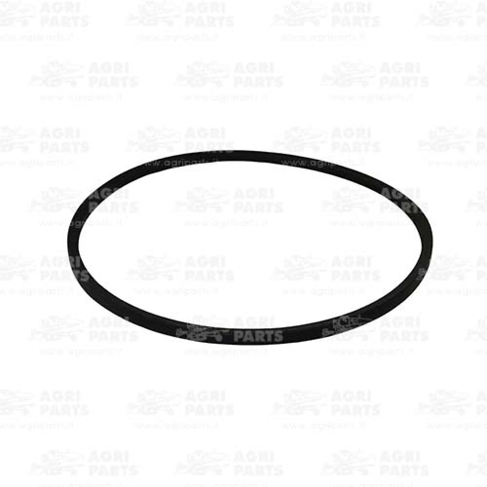 340433238 - CINGHIA - LA340433238AG