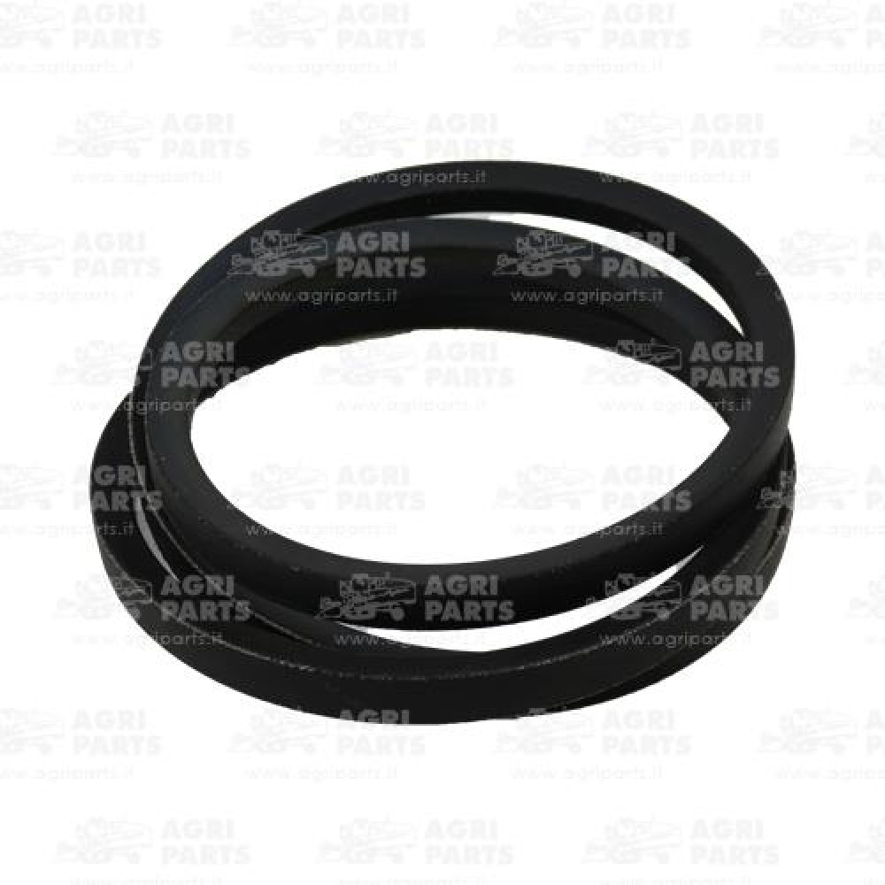 340433262 - CINGHIA - LA340433262AG