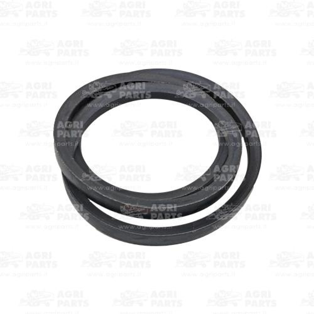 615162 - CINGHIA - 0615162SA