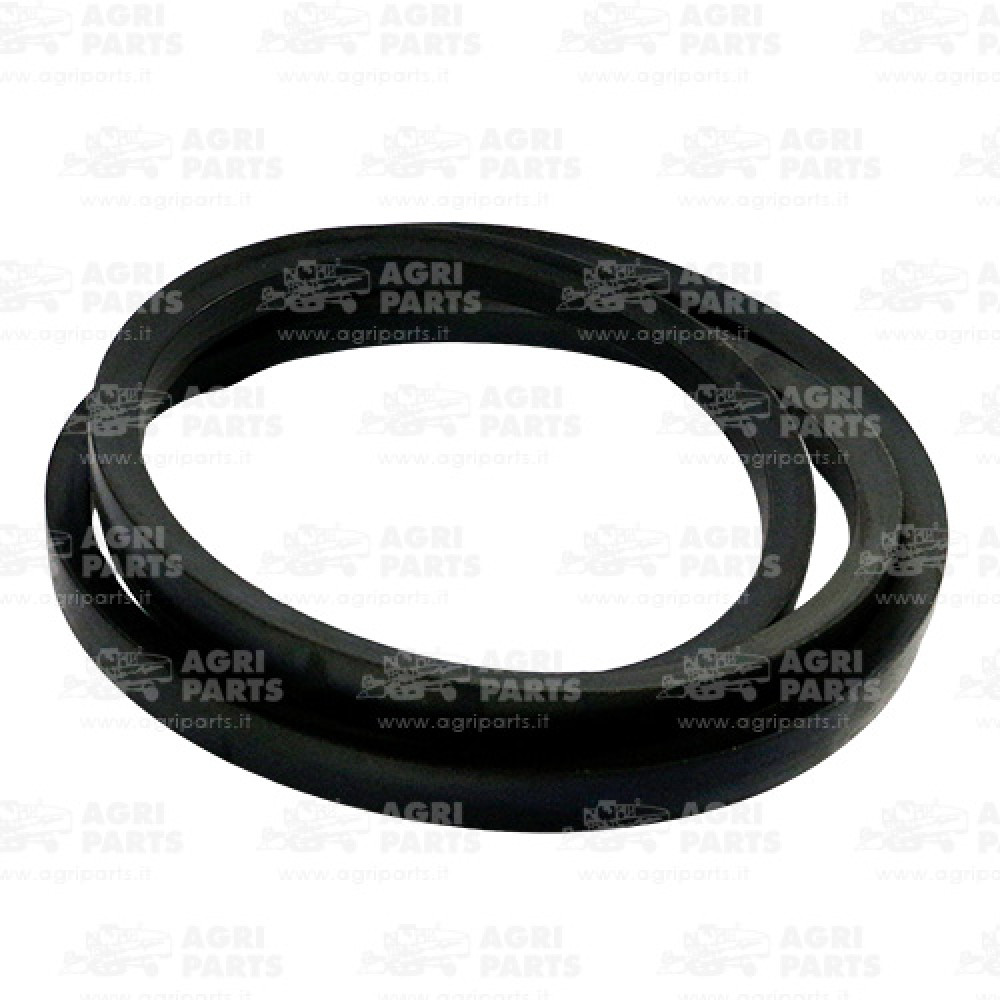 340433423 - CINGHIA - LA340433423AG