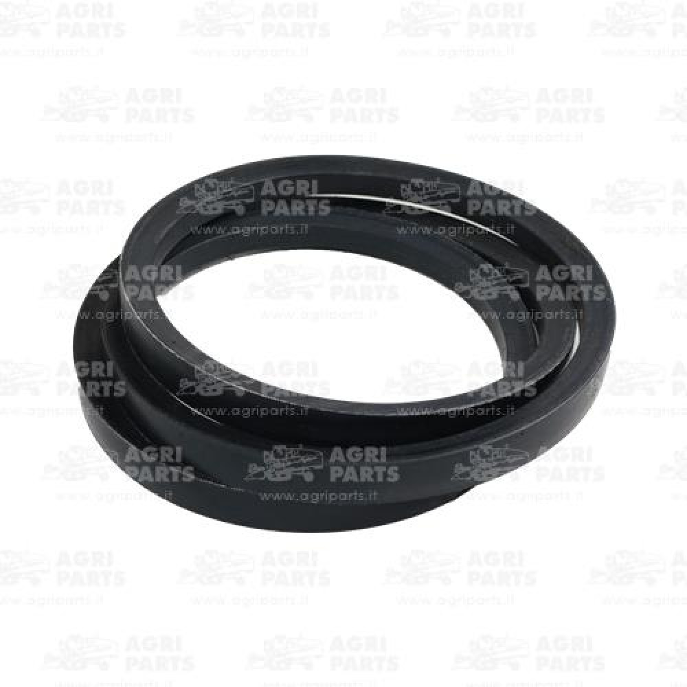 340433475 - CINGHIA - LA340433475AG