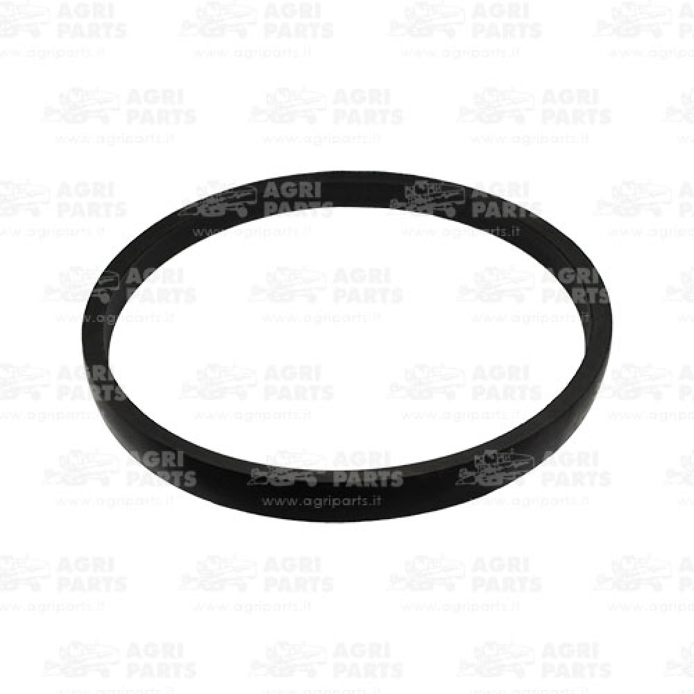 340435135 - CINGHIA - LA340435135AG