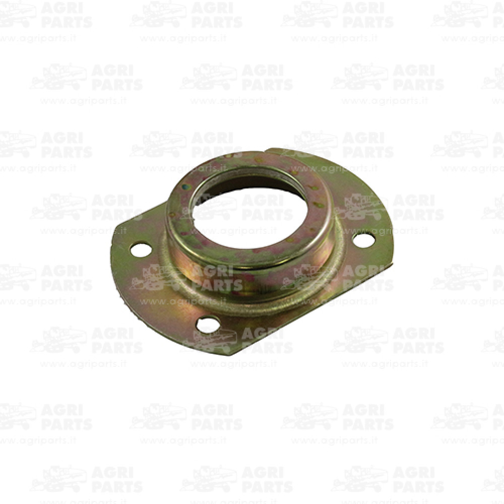 310049 - FLANGE - 310049CNH
