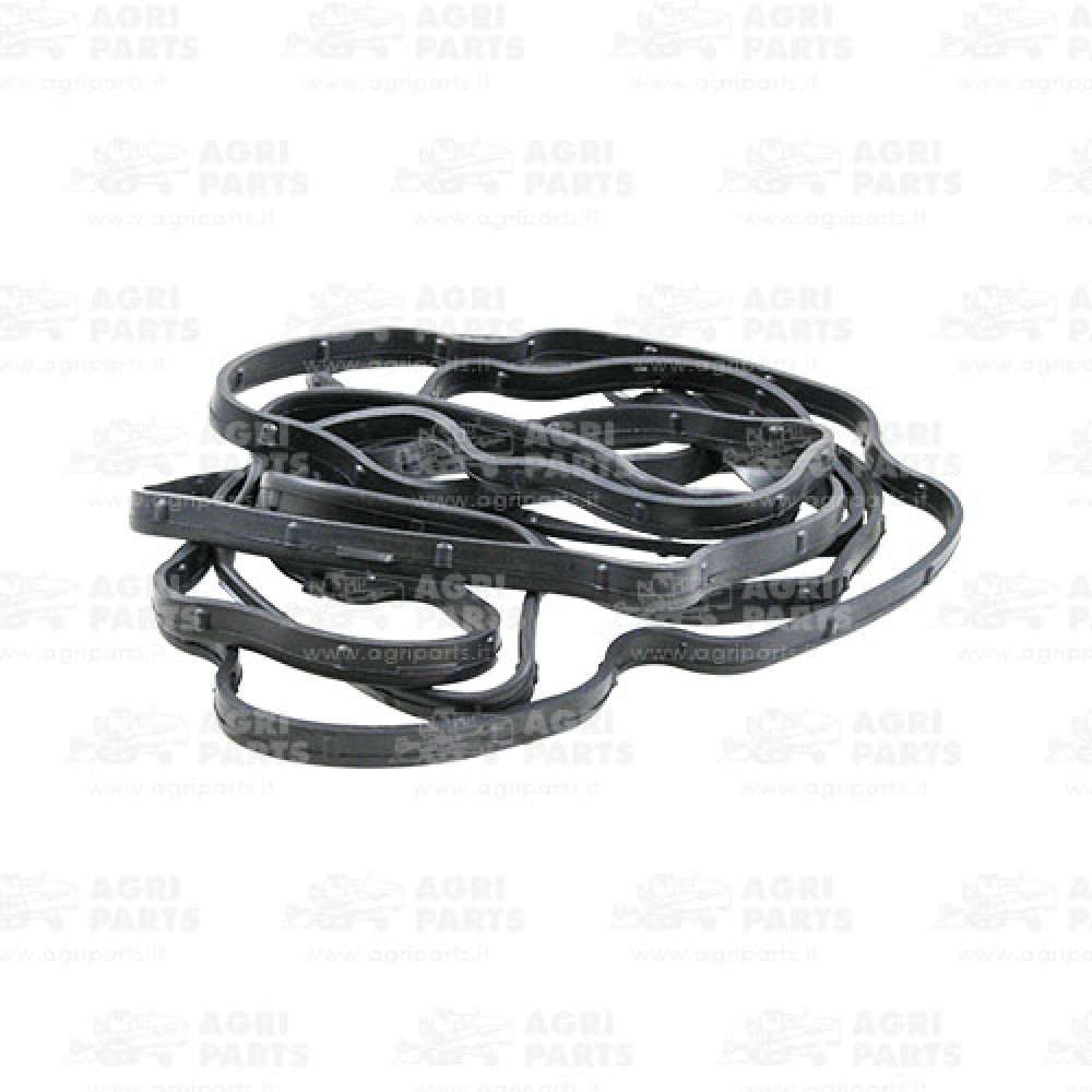 500309014 - DICHTUNG - 500309014CNH