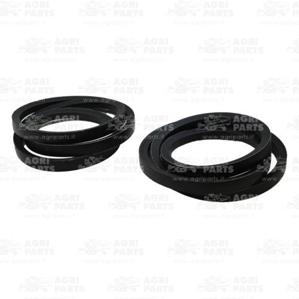 80396750 - SET 2 CINGHIE - 80396750CNH